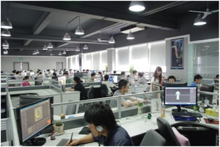 西安綠谷網絡技術研發調研報告 技術開發篇